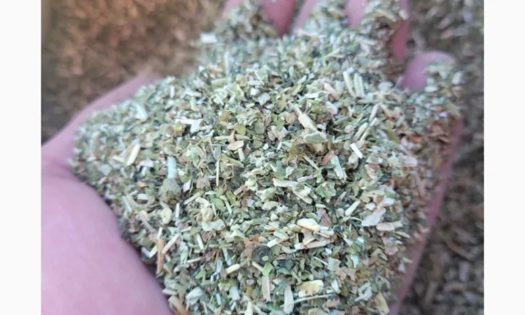 Махорка домашня для самокруток - фото № 1