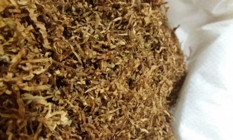 Разнообразие табака по доступным ценам - фото № 2