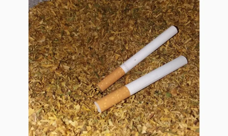 Якісний табак Вирджінія на продаж - фото № 4