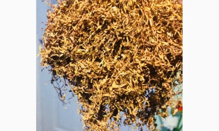 Якісний табак Вирджінія на продаж - фото № 5