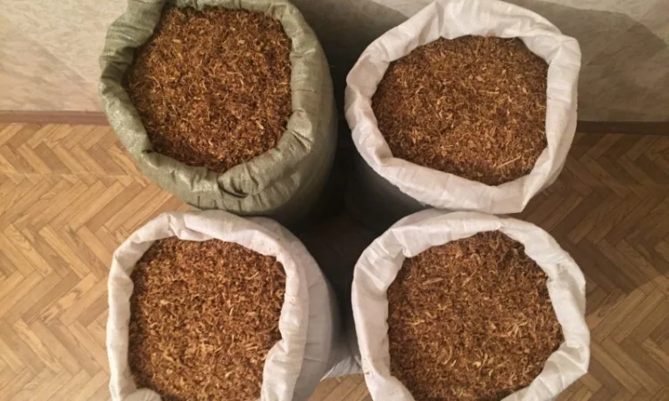 Неповторимый вкус табака! Разные сорта в продаже - фото № 2