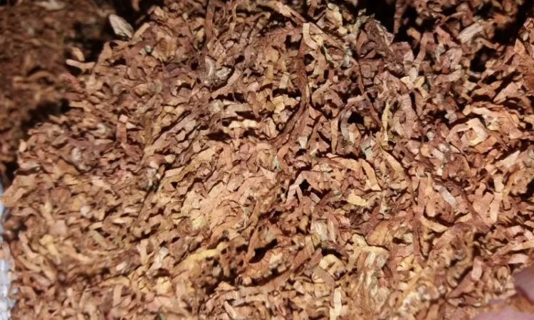 Табак и аксессуары для курения с ежедневной отправкой - фото № 2