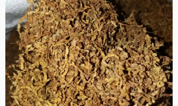 Табак Вирджиния оптимальной влажности - фото № 5