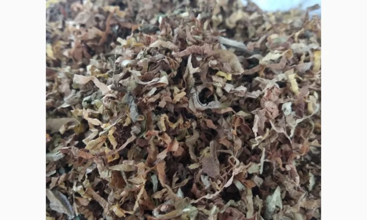 Табак Вирджиния оптимальной влажности - фото № 9