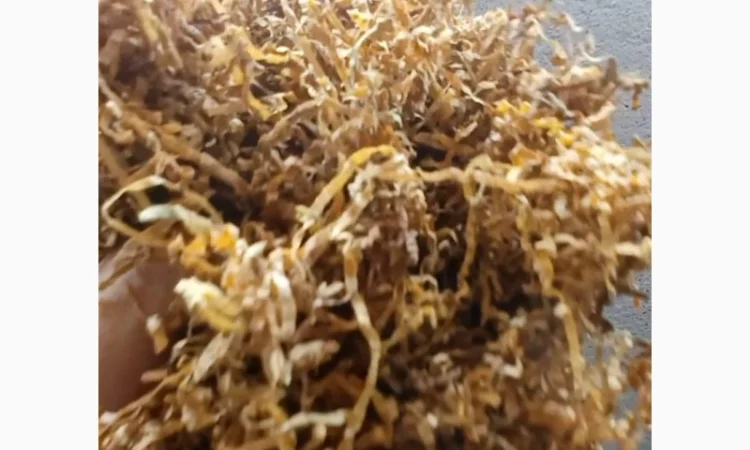 Продается табак Берлі Вірджінія - фото № 2