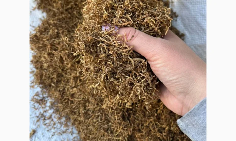 Фабричный крепкий табак на развес - фото № 4