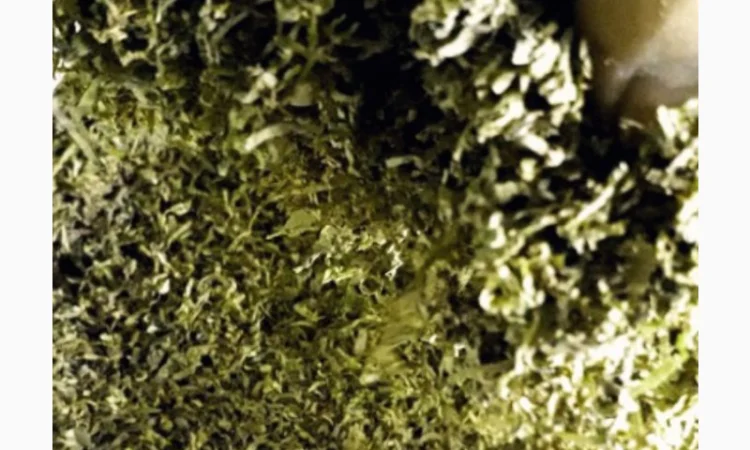 Фабричний тютюн Вірджинія – великий вибір - фото № 6