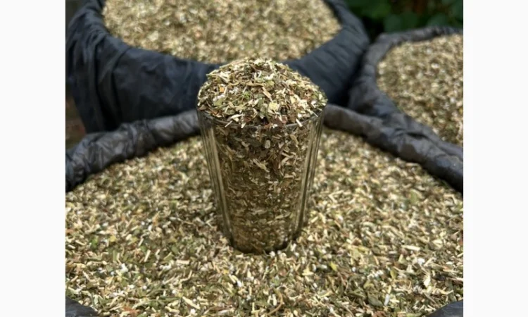 Тютюн самосад – продажа - фото № 1