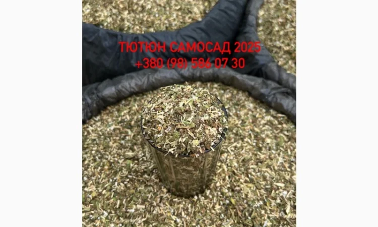 Тютюн самосад – продажа - фото № 2