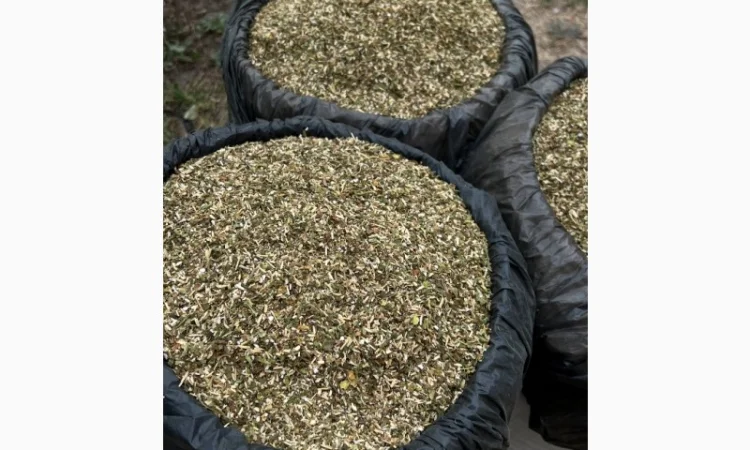 Тютюн самосад – продажа - фото № 4