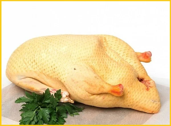 Тушка мускусної качки на продаж - фото № 1