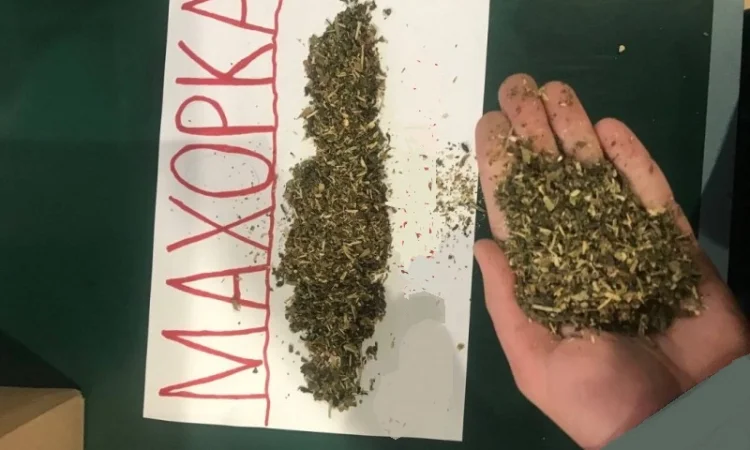 Тютюн самосад для самокруток - фото № 1