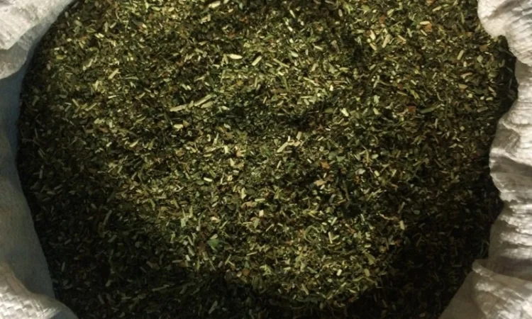 Тютюн самосад для самокруток - фото № 2