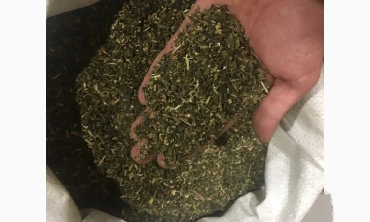 Тютюн самосад для самокруток - фото № 3