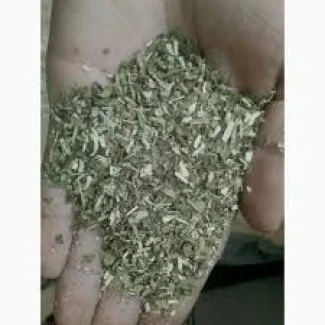 Продажа самосада и махорки - фото № 2