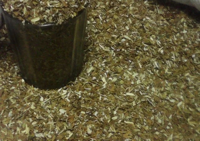 Домашняя Махорка – свежий урожай - фото № 3