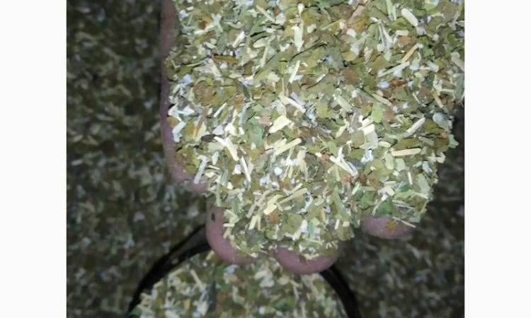 Якісна махорка для гурманів - фото № 3