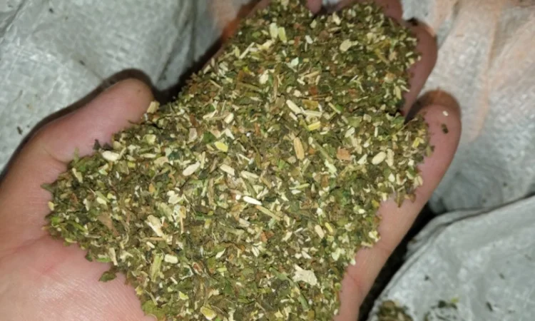 Середній та якісний самосад - фото № 1