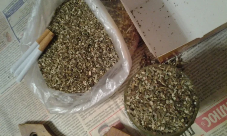 Середній та якісний самосад - фото № 2