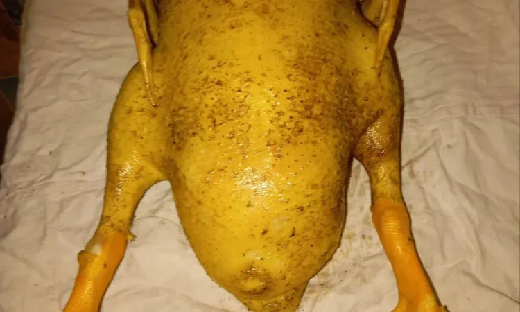 Продается мясо утки, тушка породы Чери-Велли - фото № 1