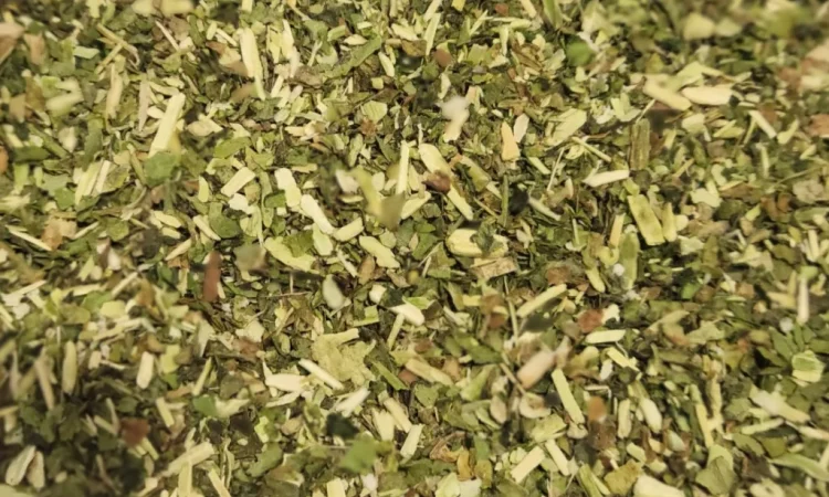 Якісний домашній тютюн – махорка самосад - фото № 1