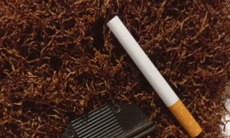 Табак Kentucky Air-Cured – тютюн Кентуккі повітряної сушки - фото № 1