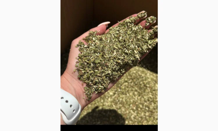 Махорка середньої міцності – якісний тютюн на розваження - фото № 1