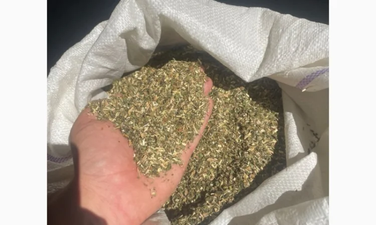 Махорка Самосад в продаже - фото № 1