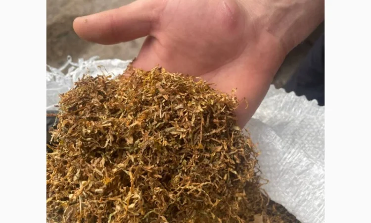 Вірджинія Gold – тютюн середньої крепості у продажу - фото № 1