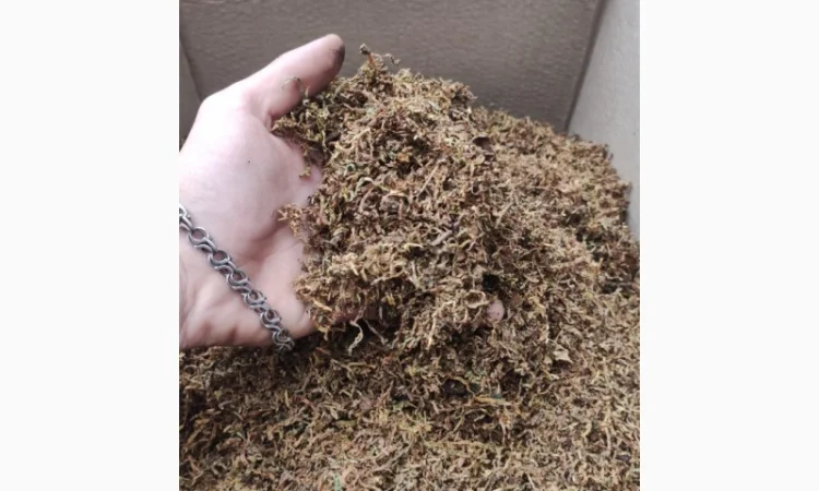 Продажа тютюна Вірджинія в Кропивницком - фото № 2