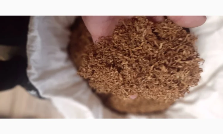 Продается табак Virdgin высокого качества - фото № 1