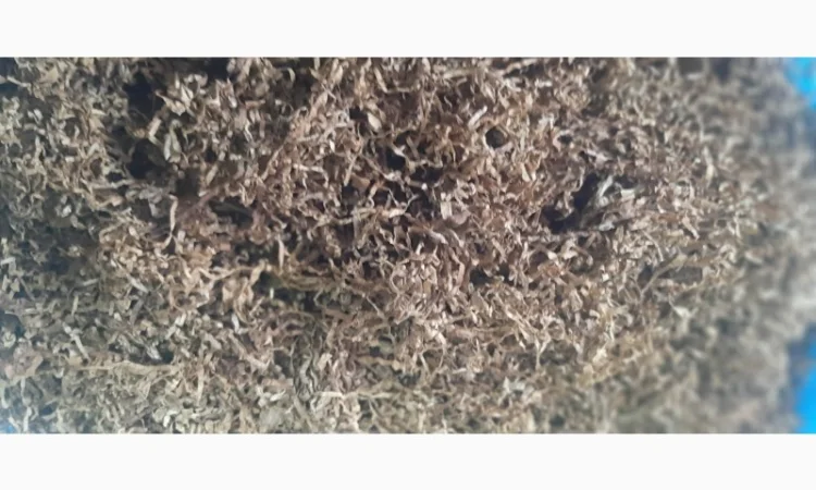 Продается табак Virdgin высокого качества - фото № 6