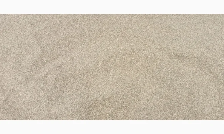 Продается стебло Махорки с приятным ароматом - фото № 1