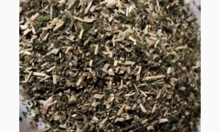 Самосад свіжий, середня міцність, 2025 рік - фото № 1