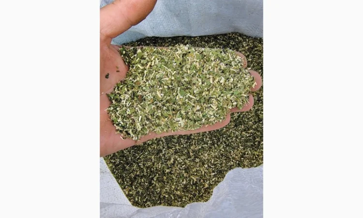 Продается махорка 1 кг - фото № 1