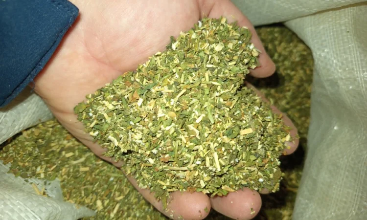 Продается махорка средней крепости - фото № 1