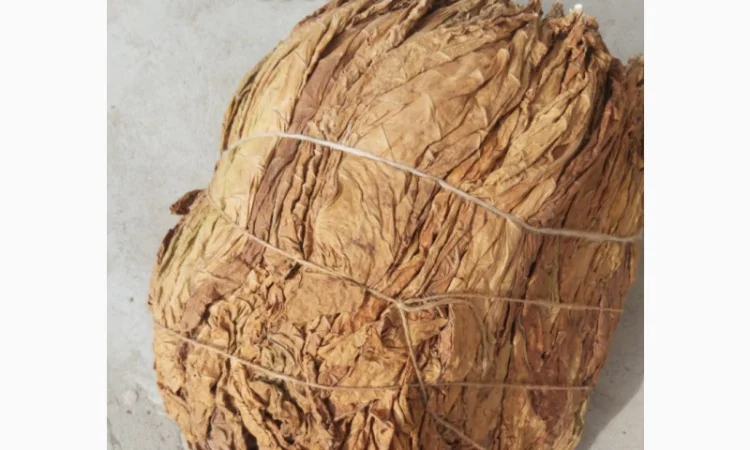 Пропонується Тютюн Virginia 700 грн за 1 кг - фото № 1