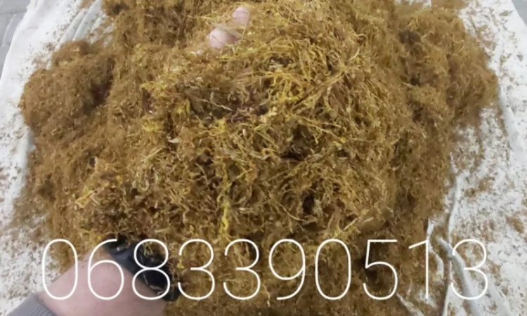 Табак Вирджиния средней крепости – 700 грн - фото № 9