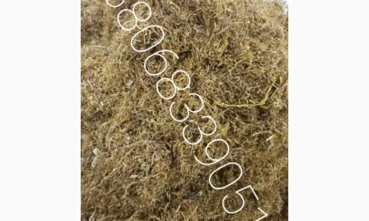 Табак Вирджиния средней крепости – 700 грн - фото № 11