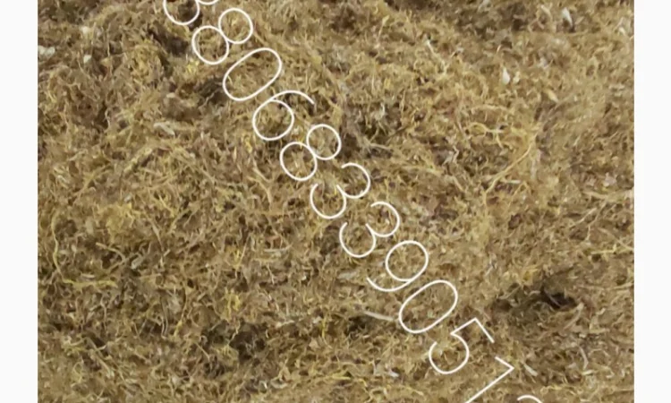 Тютюн Берлі – ціна 700 грн за 1 кг - фото № 4