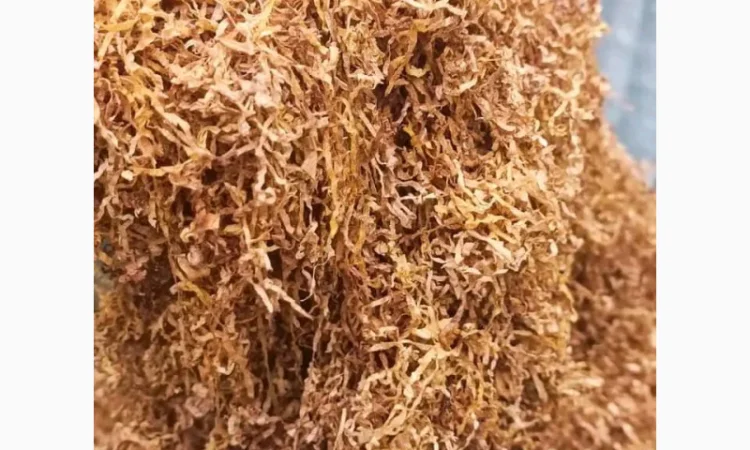 Табак Верджинія голд легка в продаже - фото № 1