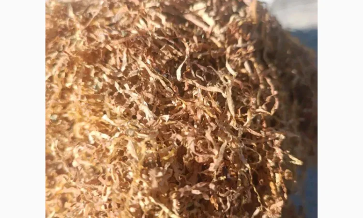 Табак Верджинія голд легка в продаже - фото № 2