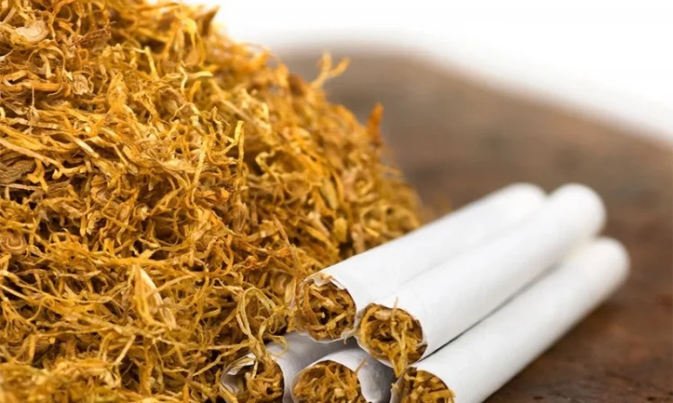 Твій тютюн - твій стиль: Берлі - фото № 1