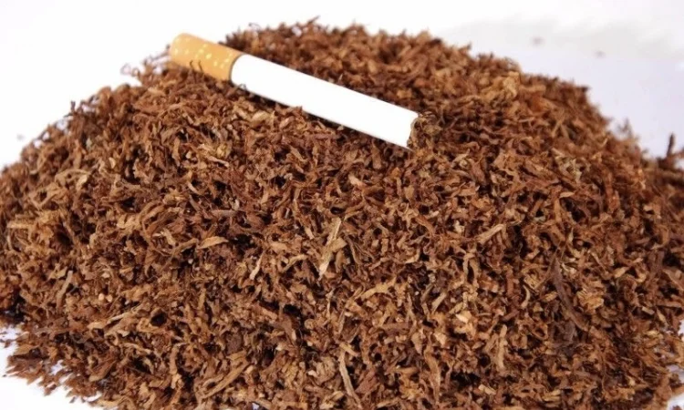 Твій тютюн - твій стиль: Берлі - фото № 2