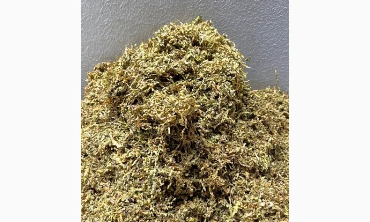 Продается табак разных марок - фото № 2