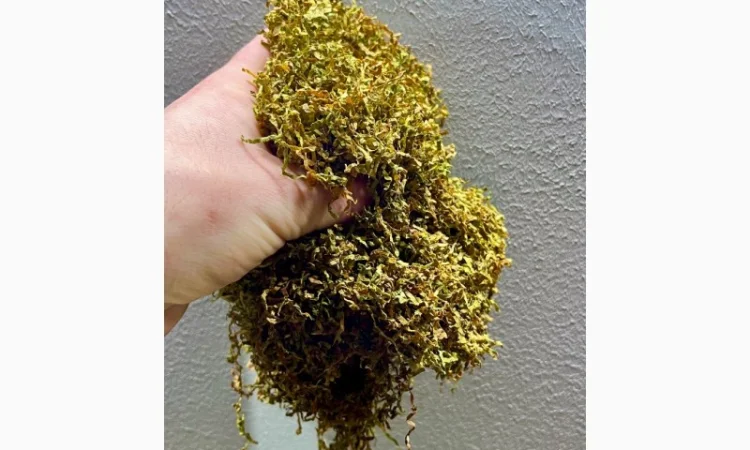 Преміум тютюн Милленіум у продажу - фото № 3