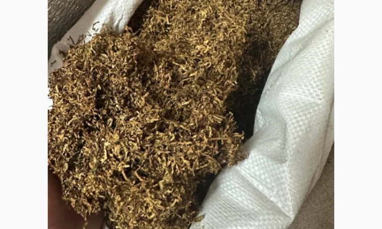 Качественный и чистый ТЮТЮН - фото № 3