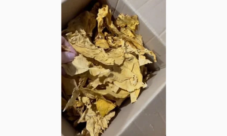 Табак на развес – разные сорта и виды - фото № 3