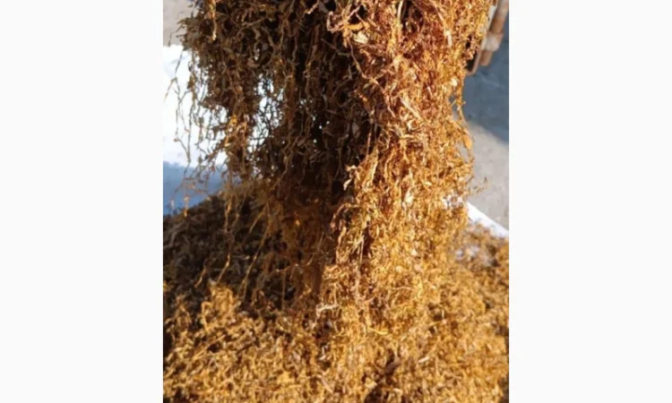 Табак Голод - широкий выбор и отличное качество - фото № 4