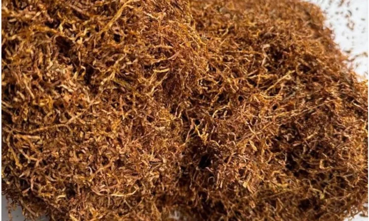 Качественный ТЮТЮН на продажу. В наличии Берлі - фото № 1